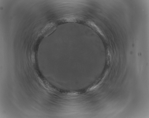 X0000074010213200609111632