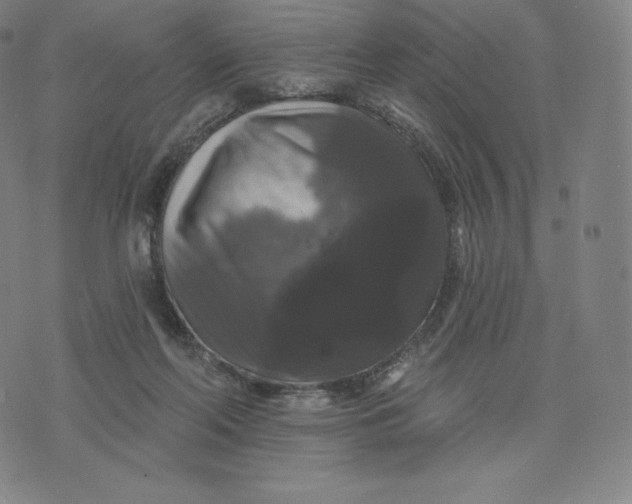 X0000074010214200609111632