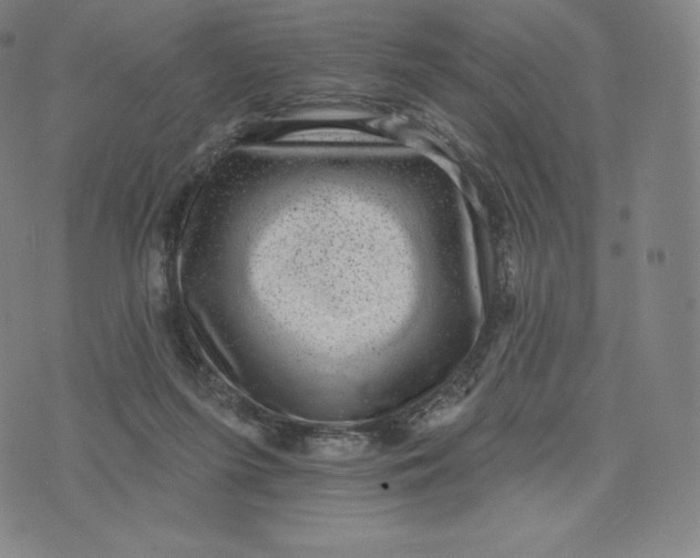 X0000074010215200609111632