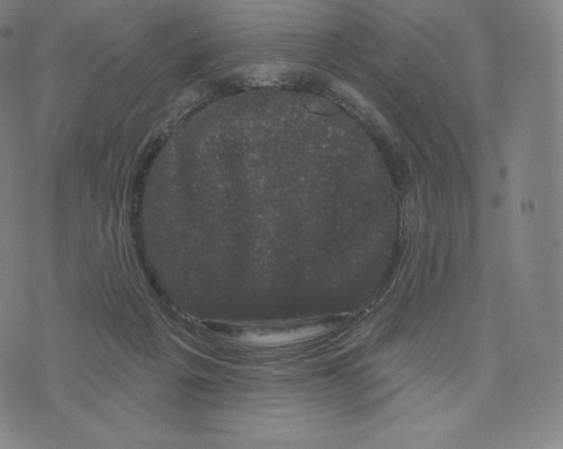 X0000074010217200609111632