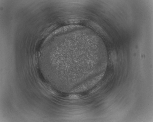 X0000074010218200609111632