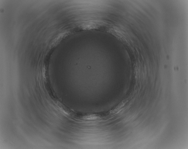 X0000074010219200609111632