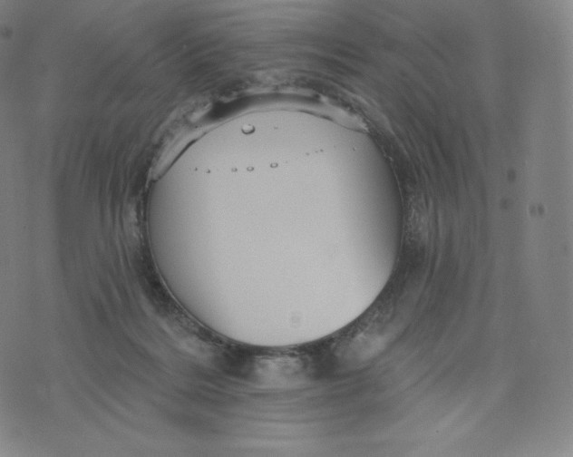 X0000074010220200609111632