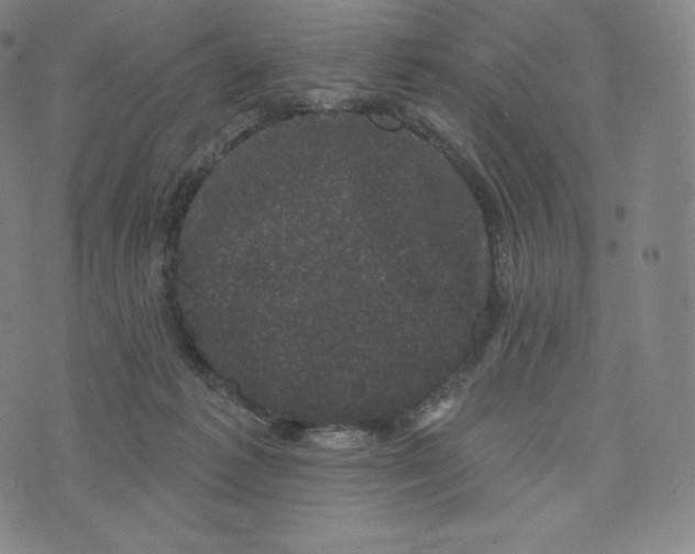 X0000074010221200609111632