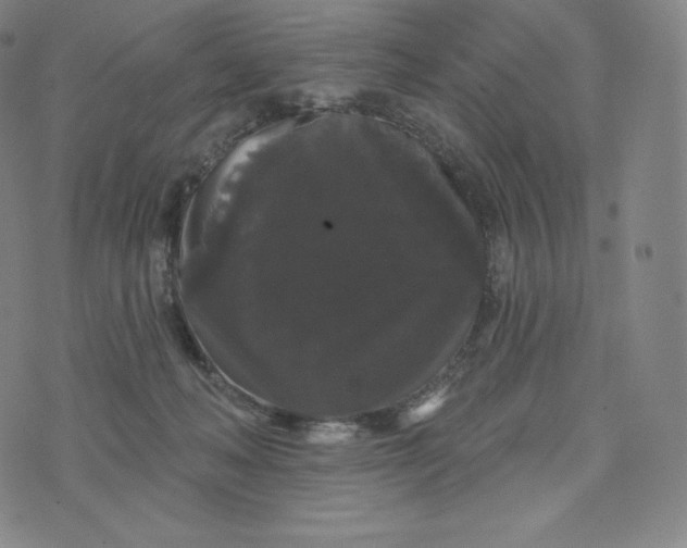 X0000074010222200609111632