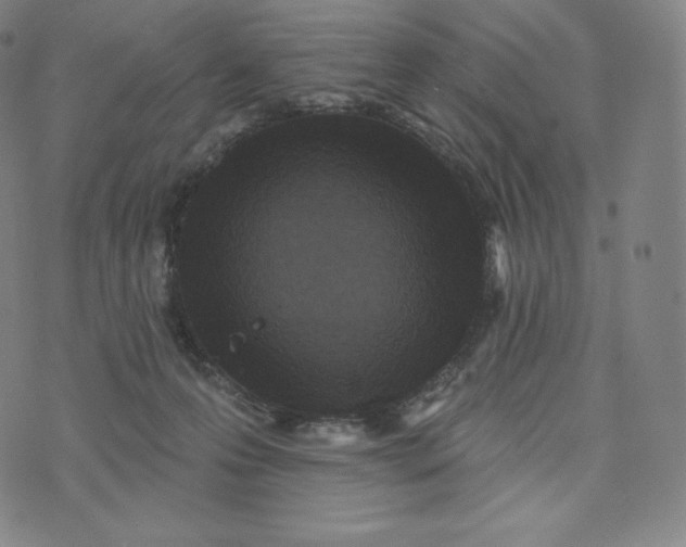 X0000074010223200609111632