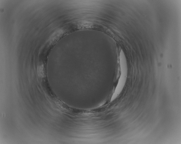 X0000074010224200609111632