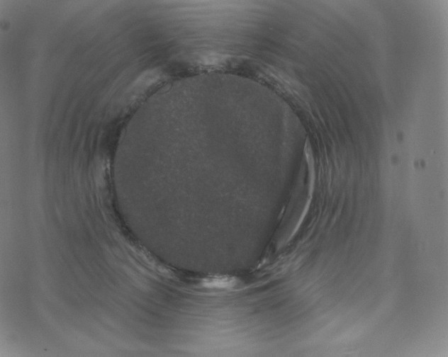 X0000074010225200609111632