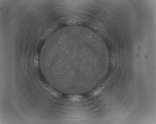 X0000074010226200609111631