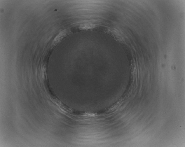 X0000074010227200609111631