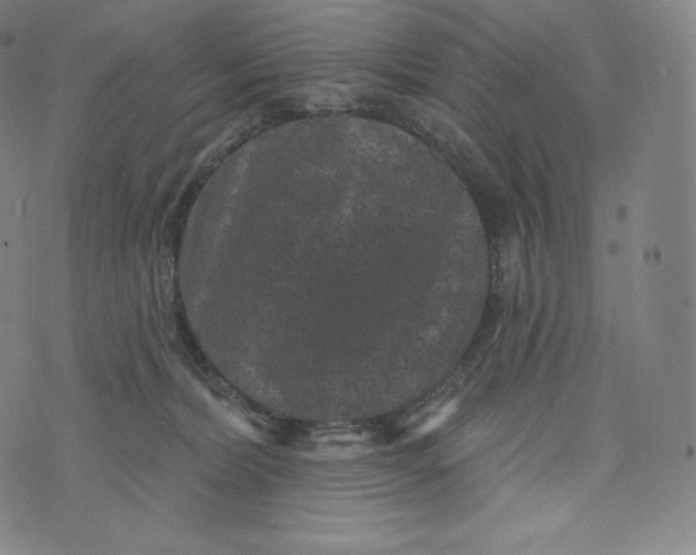 X0000074010228200609111631