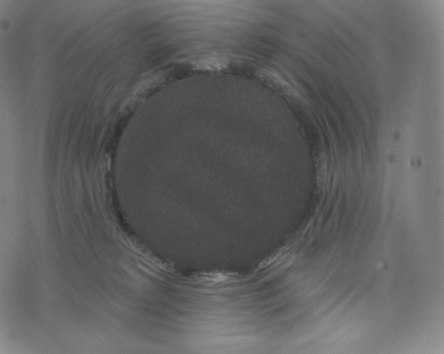 X0000074010229200609111631