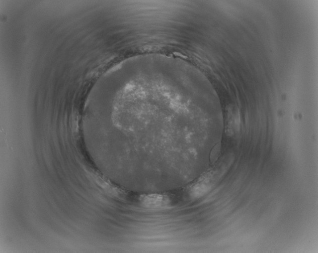 X0000074010230200609111631