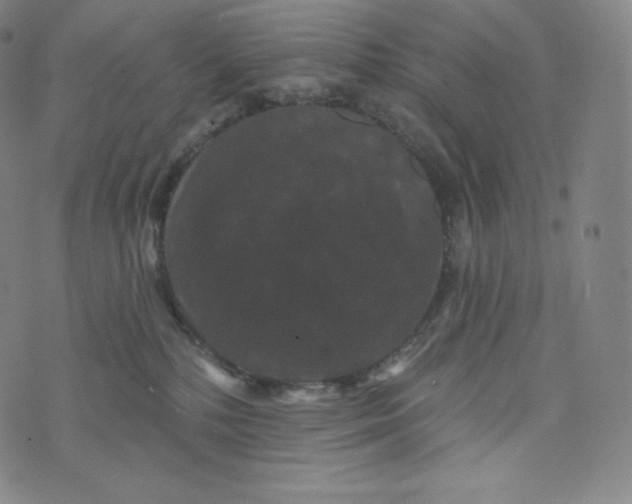 X0000074010232200609111631