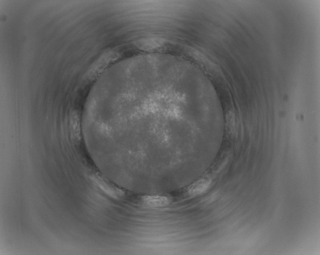 X0000074010234200609111631