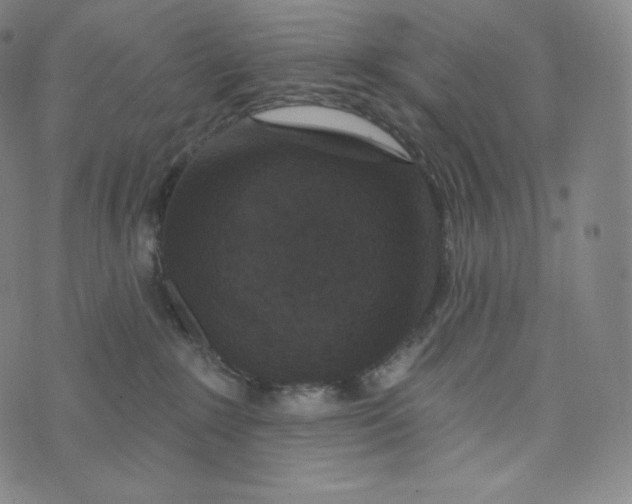 X0000074010235200609111631