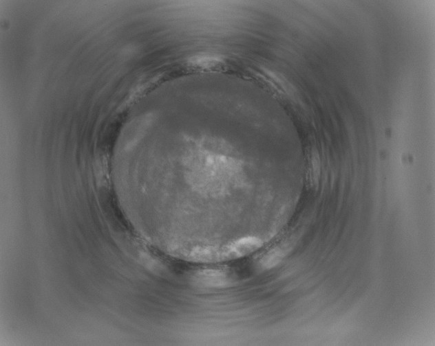 X0000074010236200609111631