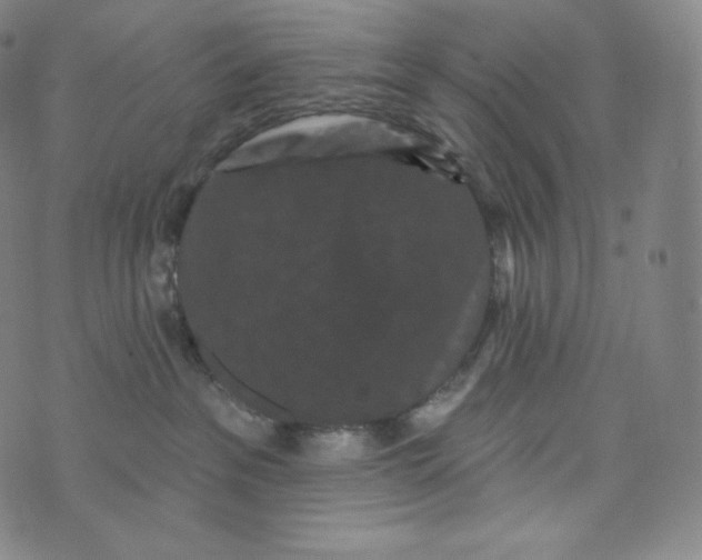 X0000074010237200609111631