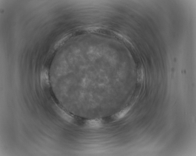 X0000074010238200609111631