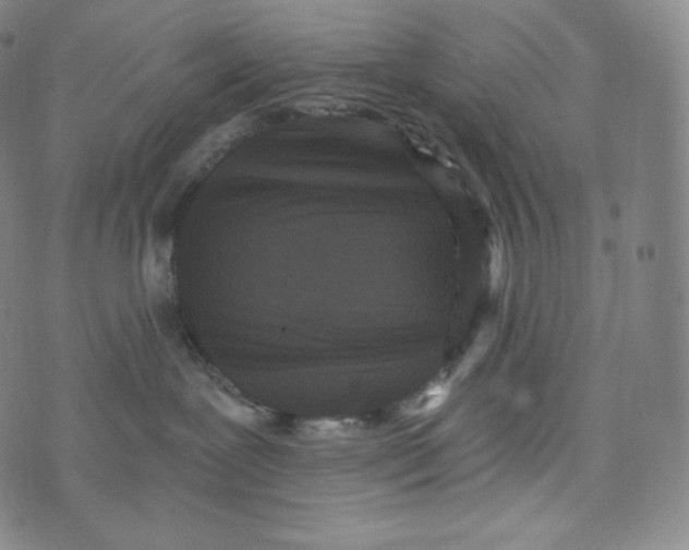 X0000074010239200609111631