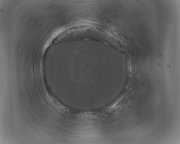 X0000074010244200609111631