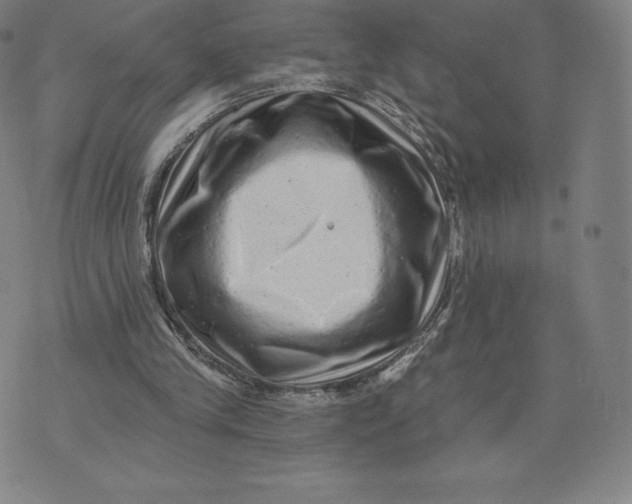 X0000074010245200609111631