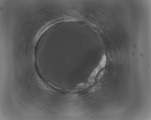 X0000074010247200609111631