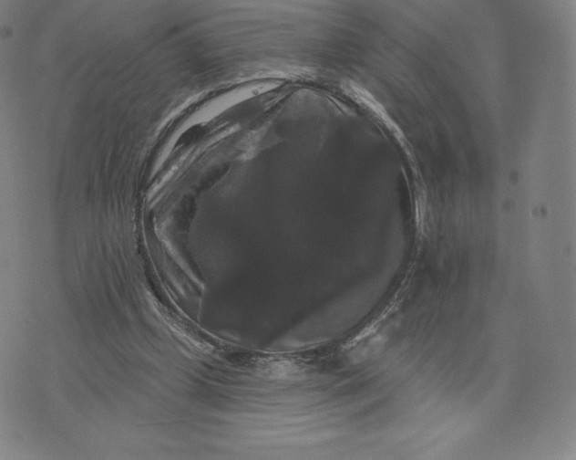 X0000074010249200609111631