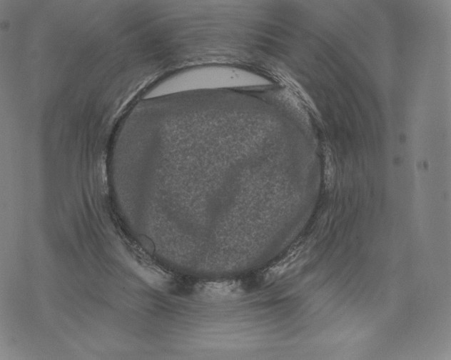 X0000074010251200609111631