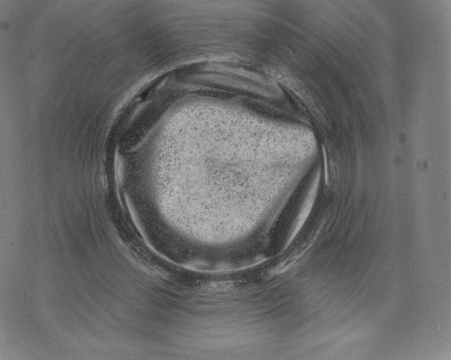 X0000074010252200609111631