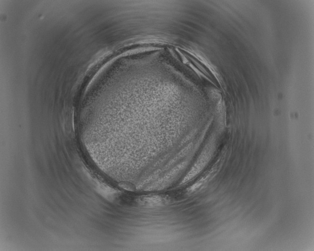 X0000074010253200609111631