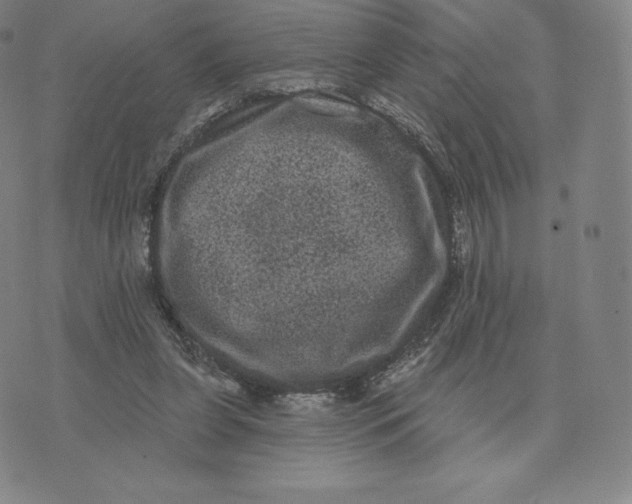 X0000074010255200609111631