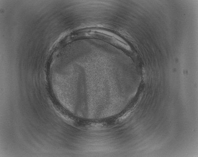 X0000074010256200609111631