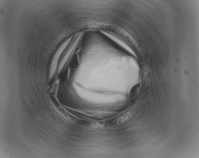 X0000074010257200609111631