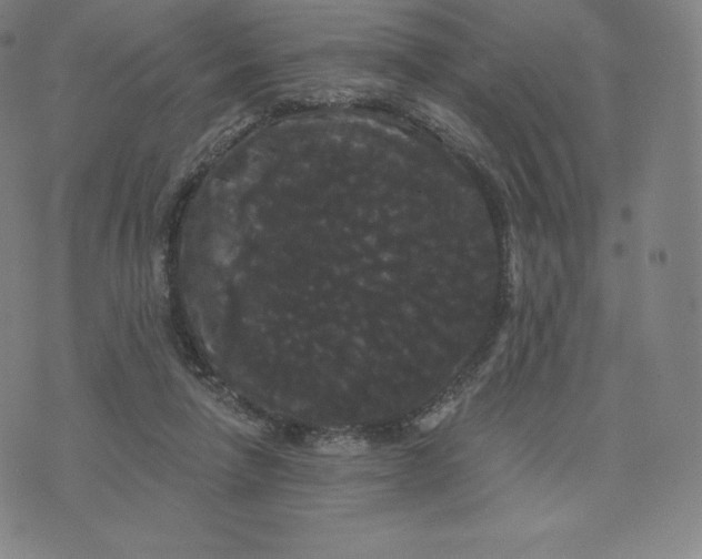 X0000074010258200609111631