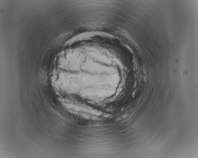 X0000074010259200609111631