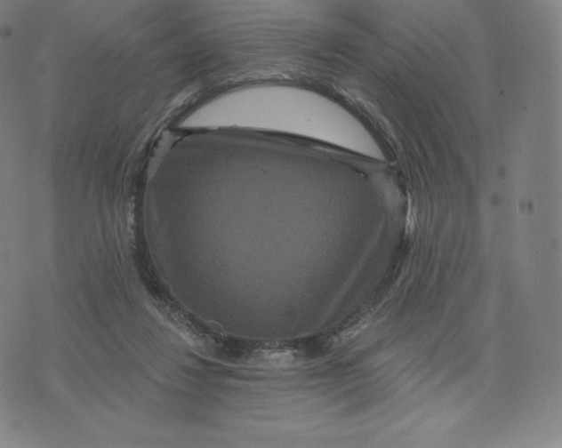 X0000074010260200609111631