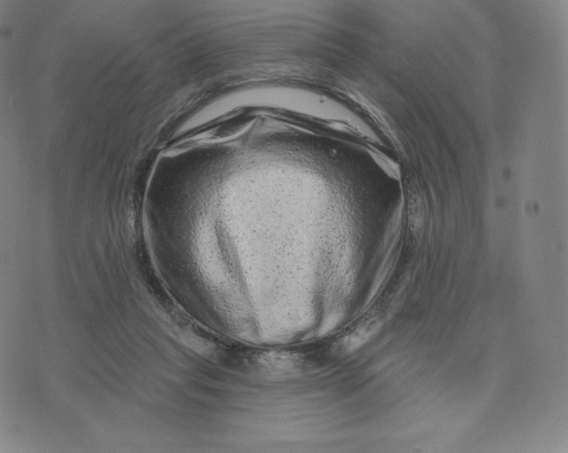 X0000074010261200609111631