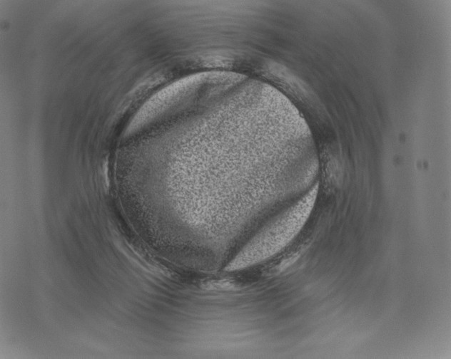 X0000074010262200609111631