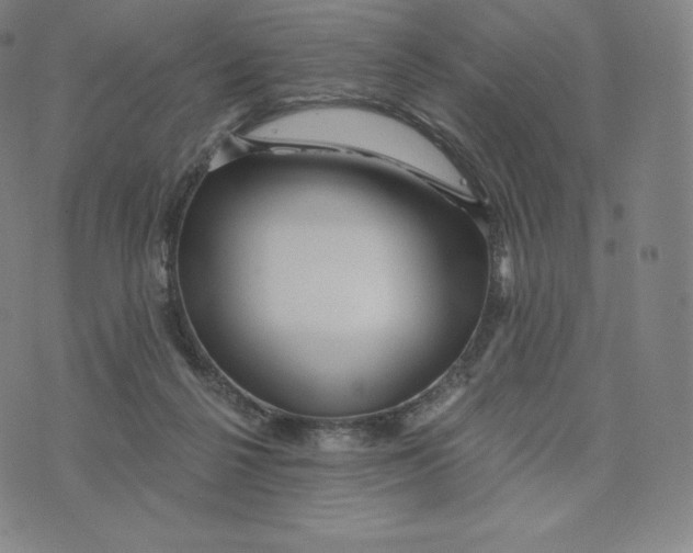 X0000074010264200609111631