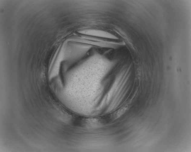 X0000074010265200609111631