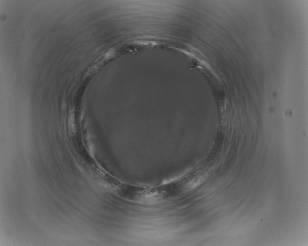 X0000074010267200609111631