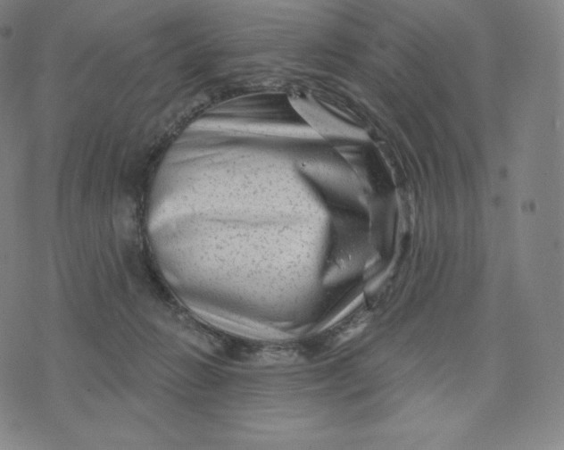 X0000074010270200609111631