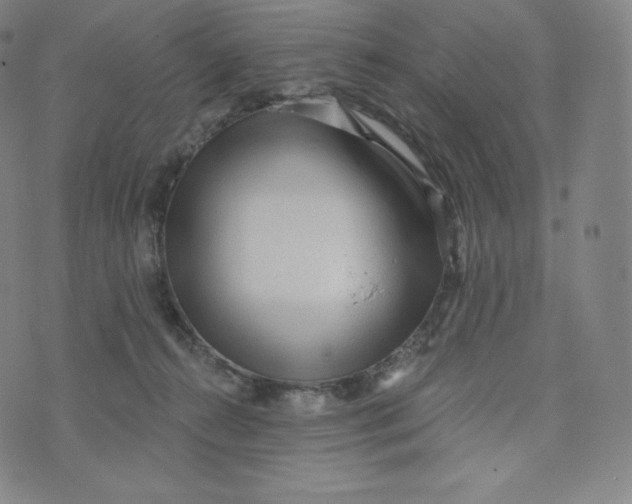 X0000074010272200609111631