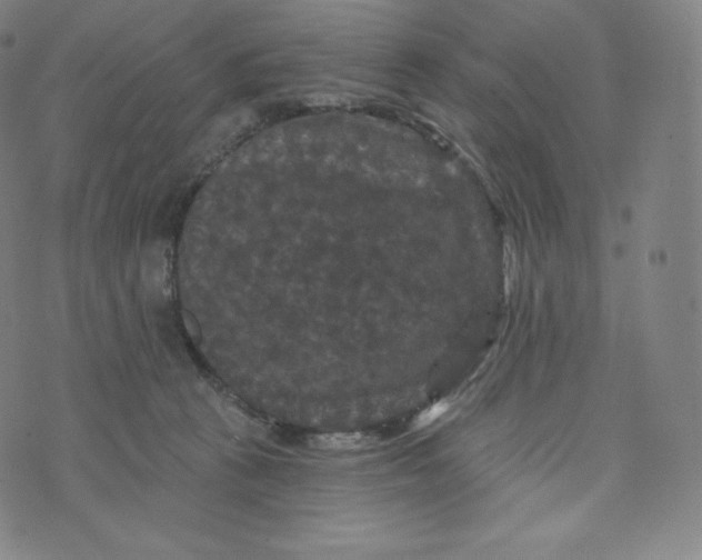 X0000074010273200609111631