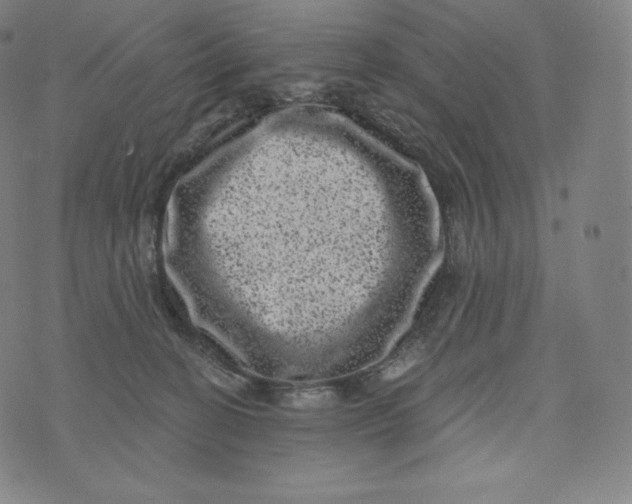 X0000074010274200609111631