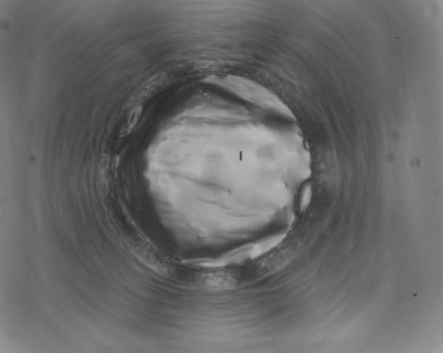 X0000074010275200609111631