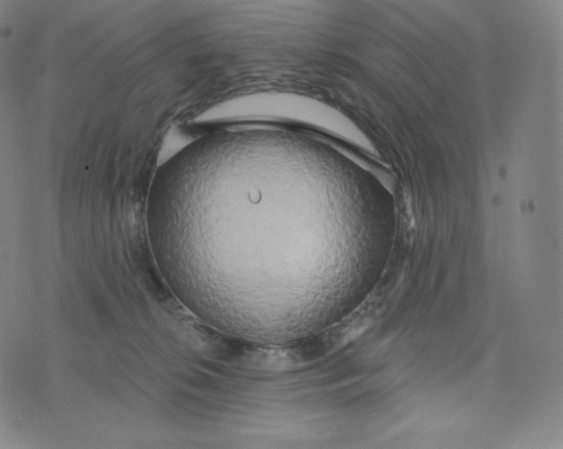 X0000074010276200609111631