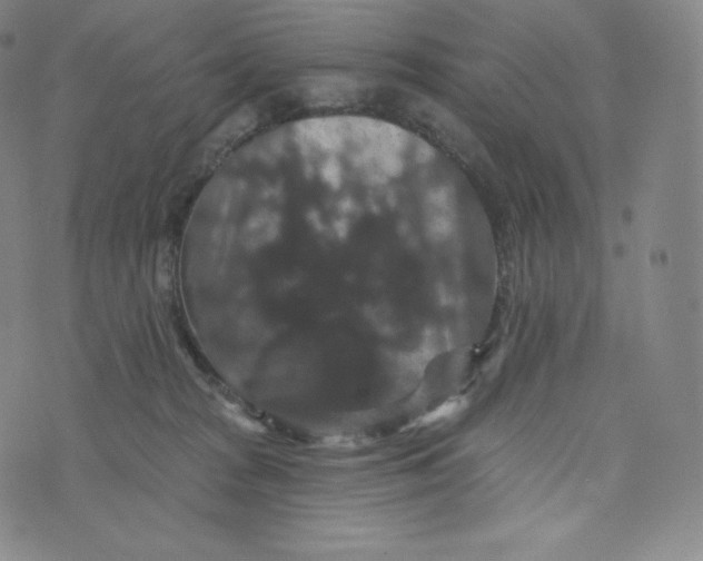 X0000074010277200609111631