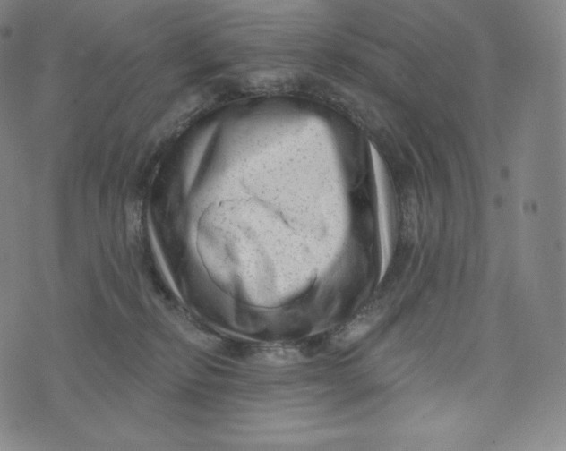 X0000074010278200609111631